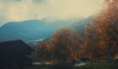 Draugen