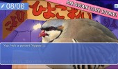 Hatoful Boyfriend