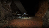 bird-in-cave