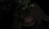 Slender
