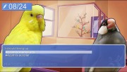 Hatoful Boyfriend