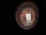 Slender