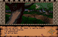Dungeon Quest