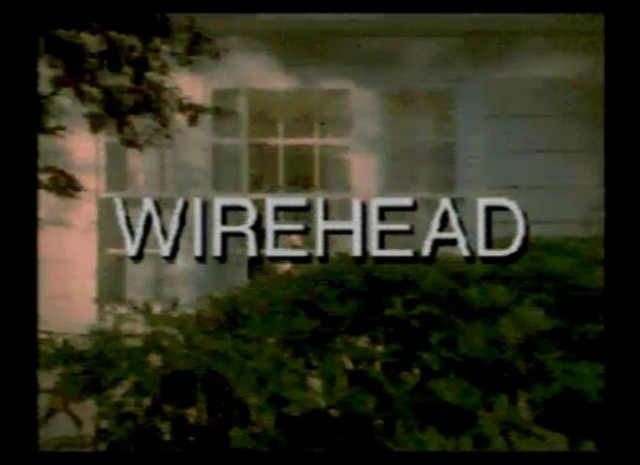 Wirehead