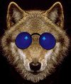 Benutzeravatar