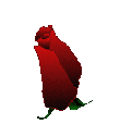 Benutzeravatar