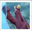 Benutzeravatar